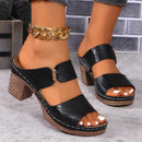 Fish Mouth Sandals Chunky Heel